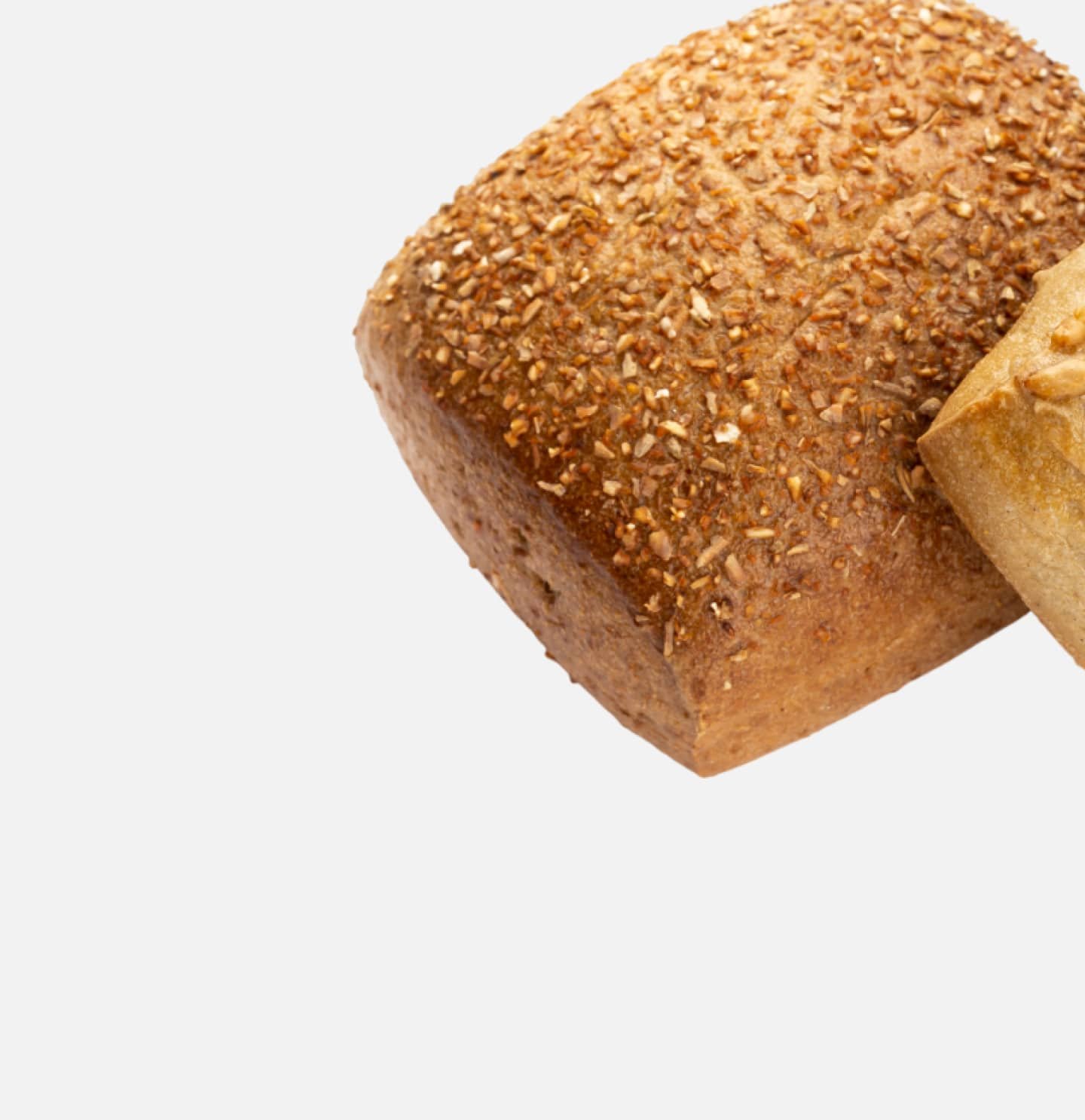 Harvest Bread - Imagen 2